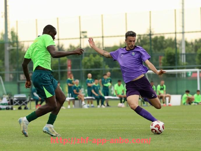 安博体育app下载-英超球队与德甲球队：英超与德甲联赛球队的优势与对抗